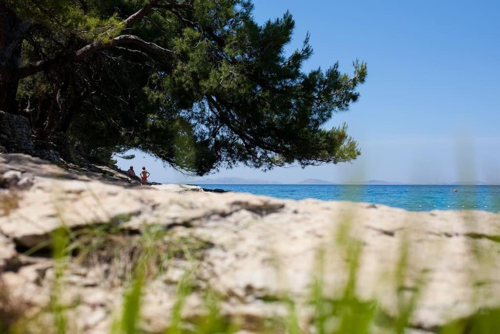 Stone House Kula Milica Villa Mala Cista Kültér fotó