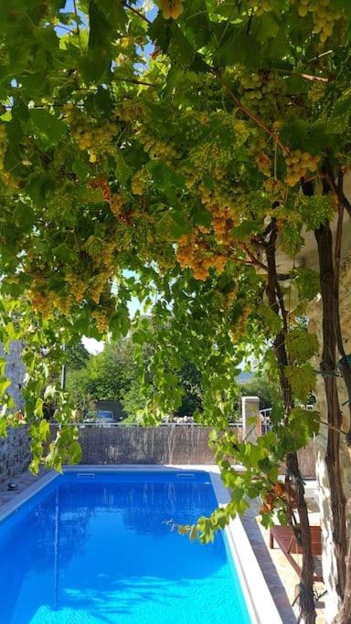 Stone House Kula Milica Villa Mala Cista Kültér fotó