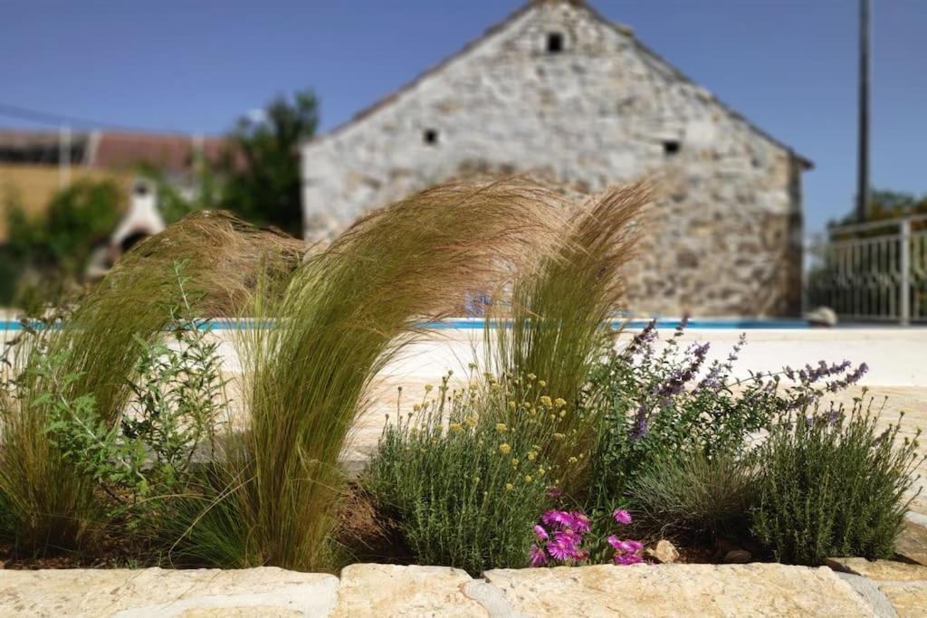 Stone House Kula Milica Villa Mala Cista Kültér fotó